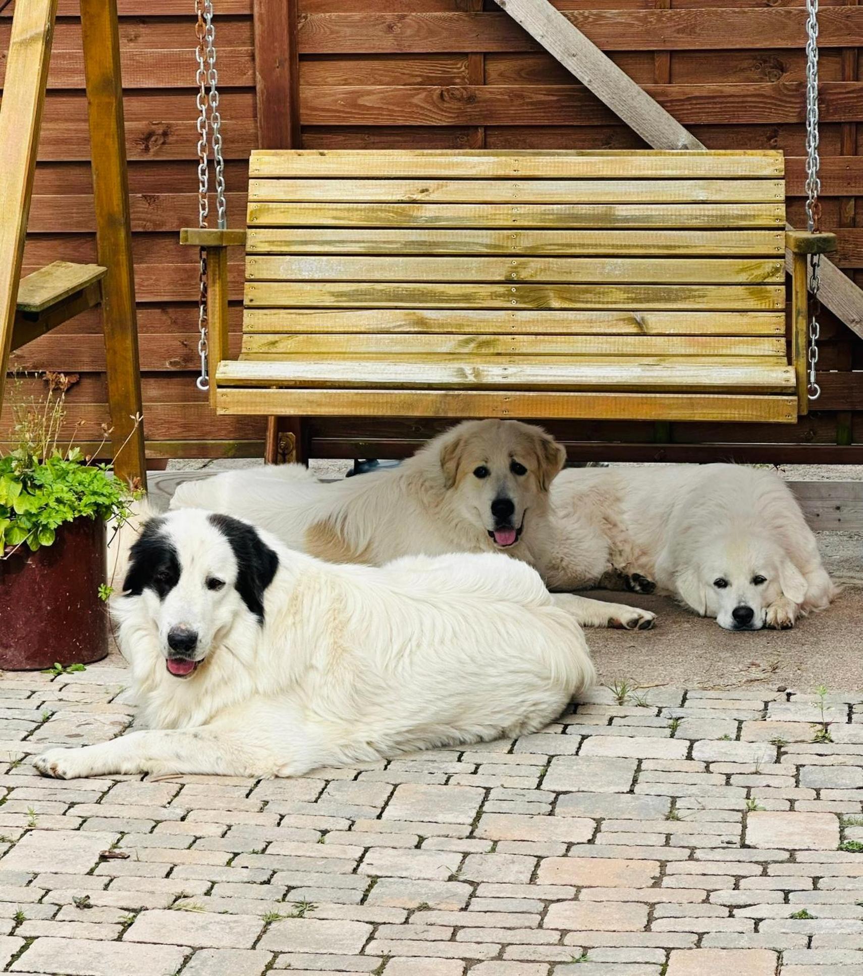 Ferienwohnung “Mount Meissner” Germerode Zewnętrze zdjęcie